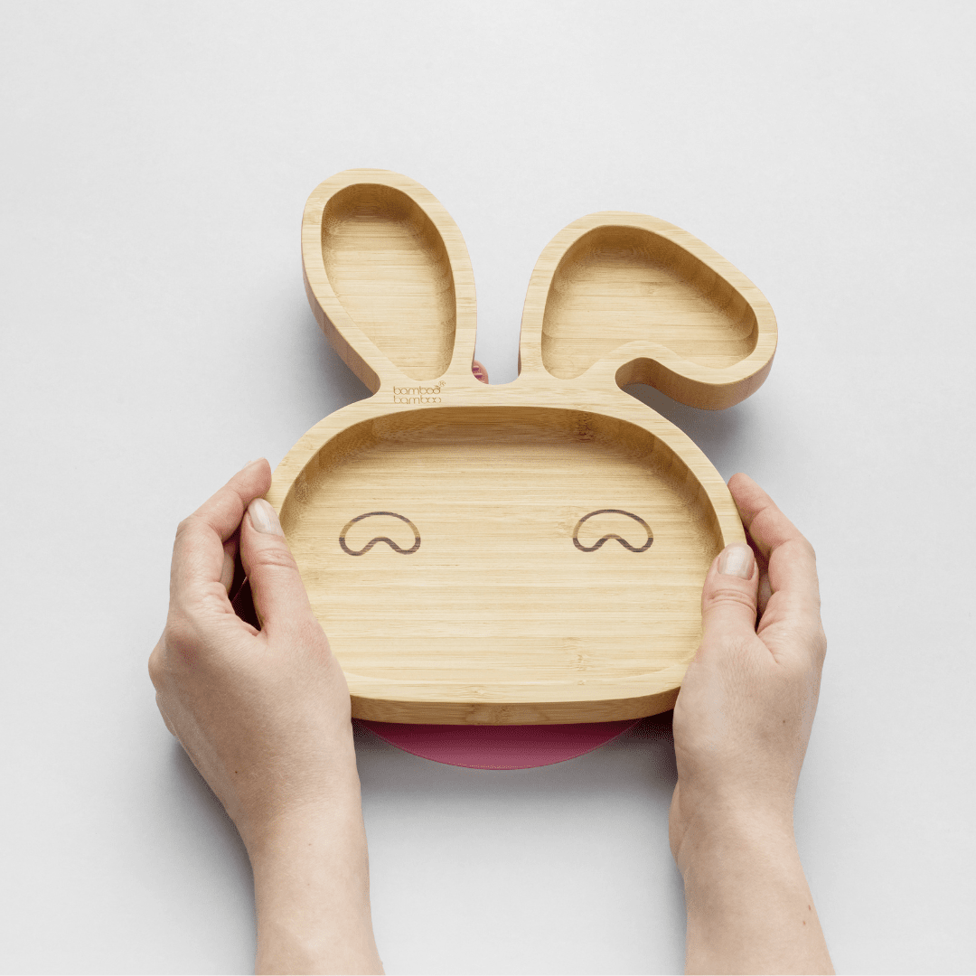Baby Suction Plates